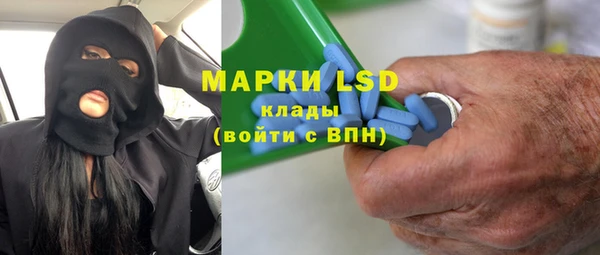 прущие грибы Абаза