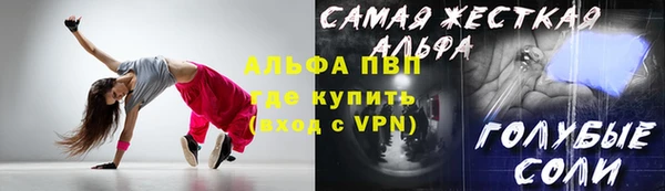 прущие грибы Абаза