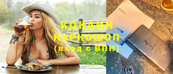 прущие грибы Абаза