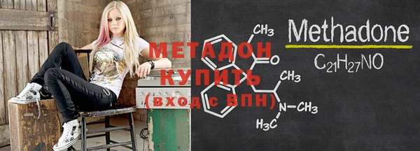 прущие грибы Абаза