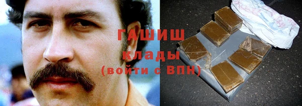 прущие грибы Абаза