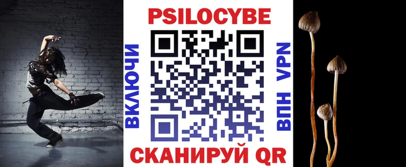 Галлюциногенные грибы Psilocybe  где найти наркотики  Гусиноозёрск 